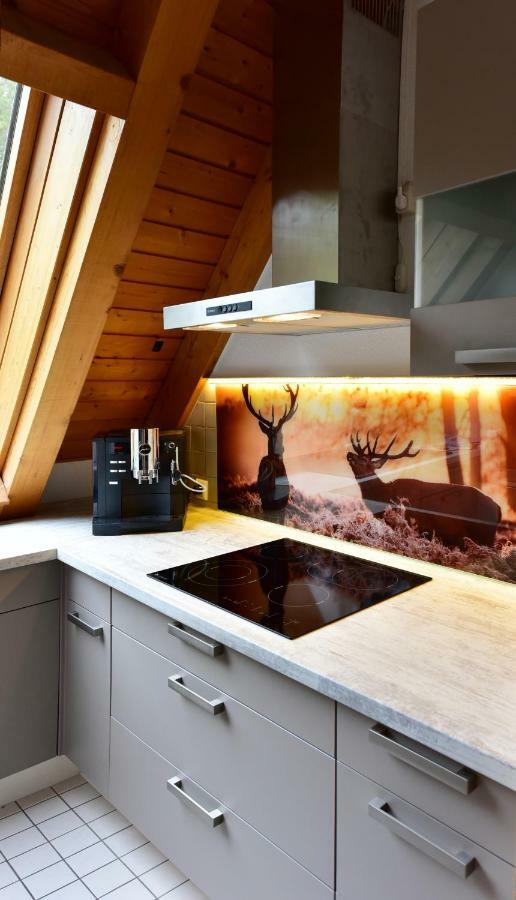 Black Forest Bollenhut Deluxe Lenzkirch Dış mekan fotoğraf